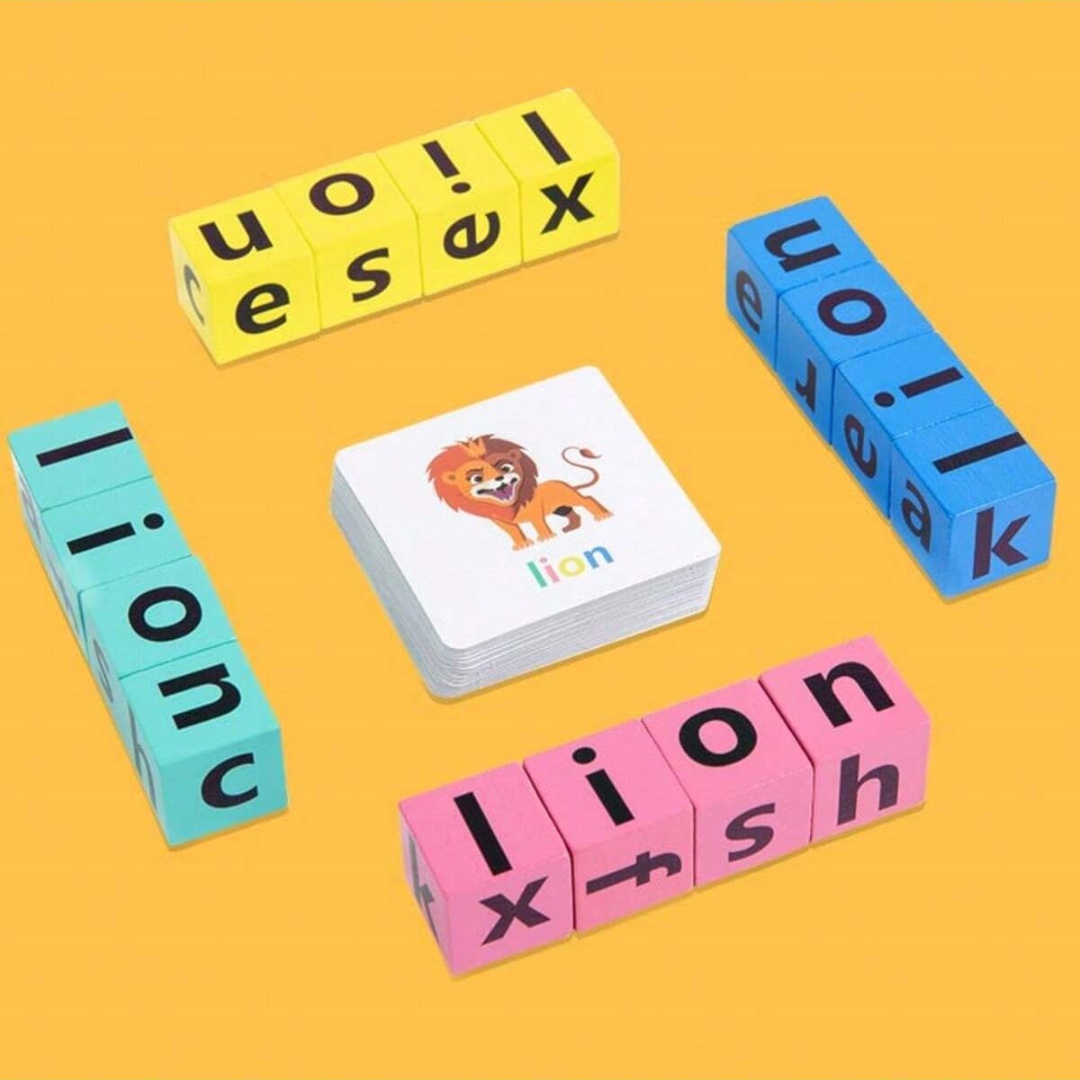 Board Game Organization - 1 Kutu Parti Oyunları Sahte Bir